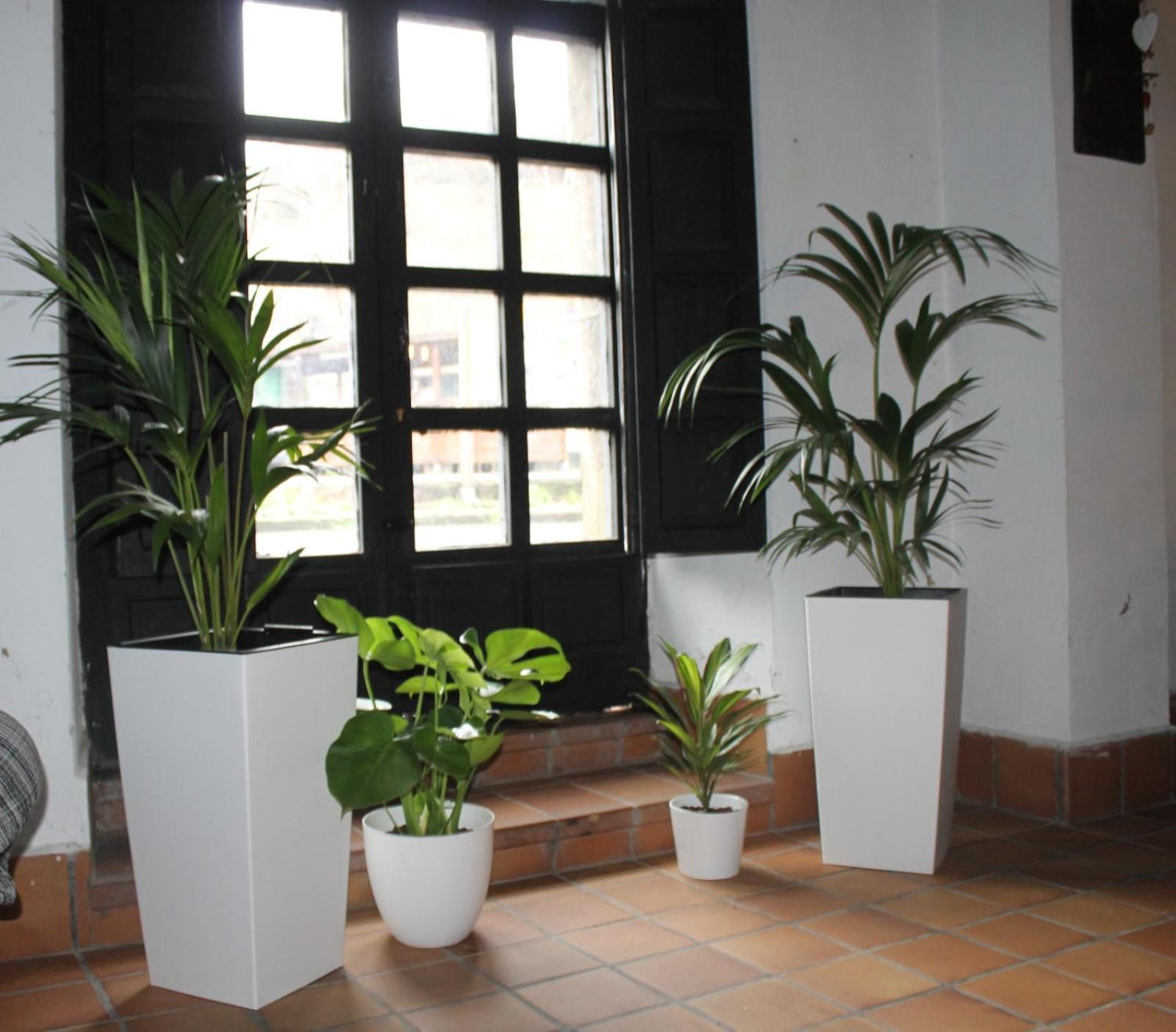 La Casona Del Xerron Villa El Condado Exteriör bild